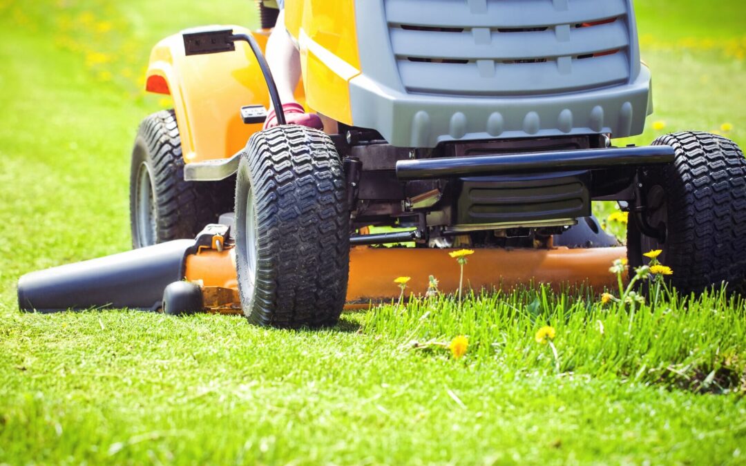 Are You Looking for Some Great California Lawn Care Tips?