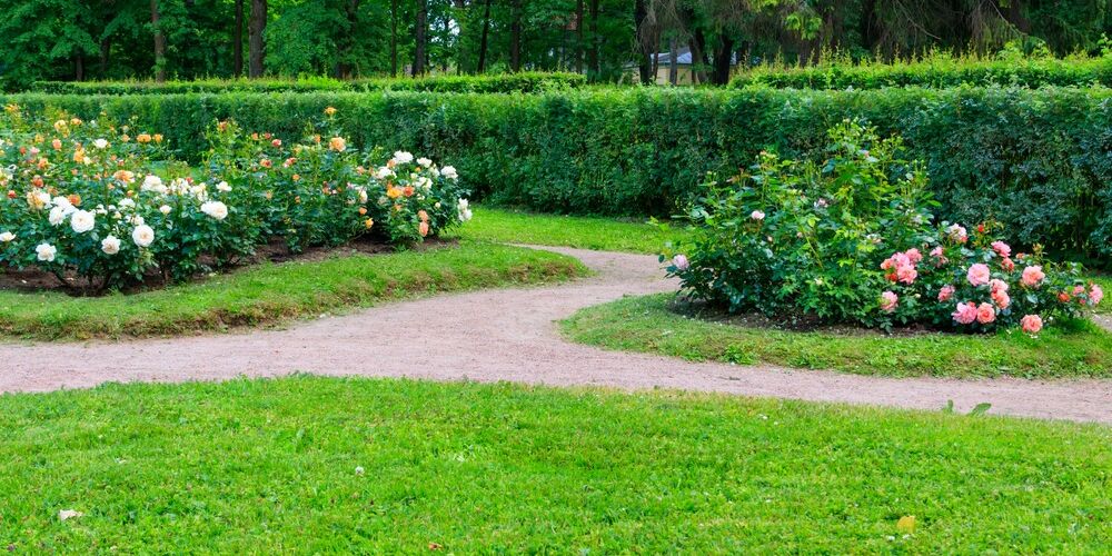 Are You Looking for the Best Lawn Care Do’s and Don’ts?