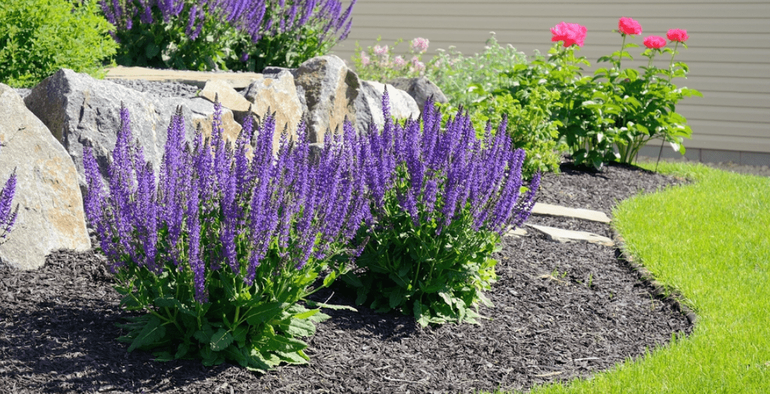 Everything You Need to Know about Mulching Your Yard