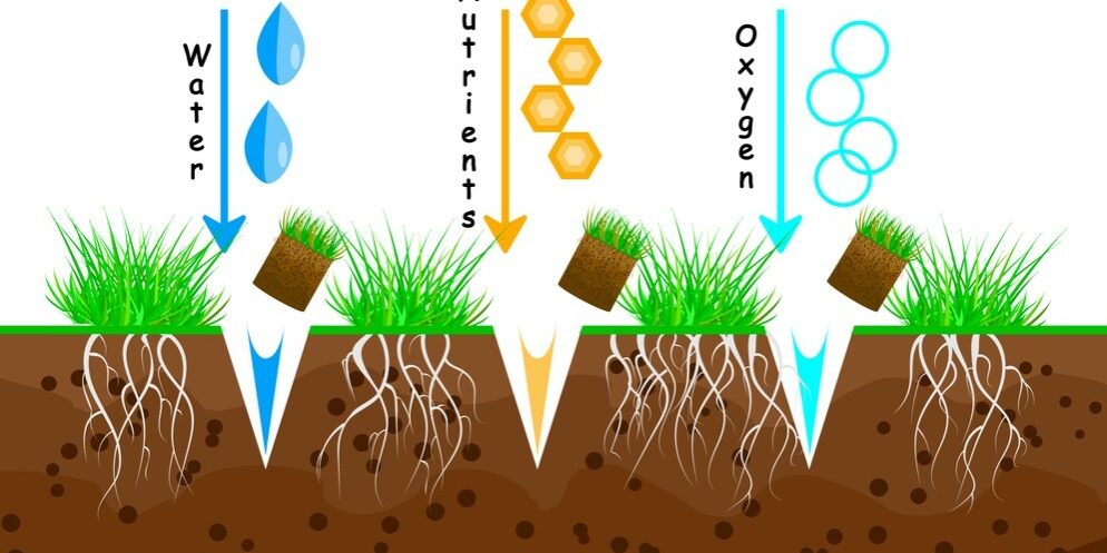 What Are the Benefits of Aeration and Overseeding?