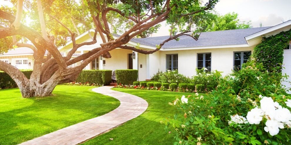 What Are the Top 4 Ways to Celebrate Earth Day in Your Yard?