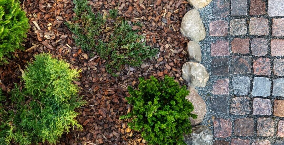 What Are the Top 5 Tips You Need to Know about Mulch?