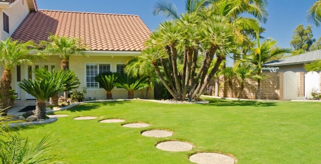 What to Know about Lawn Care and California Summers?