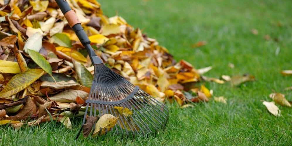 What Are the Advantages of Seasonal Cleanup?